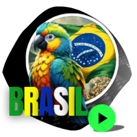 Brasil Play